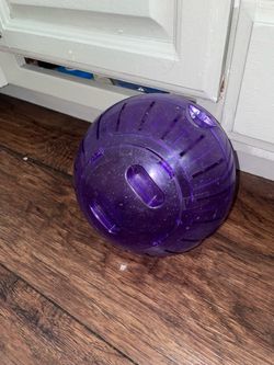 Hamster ball