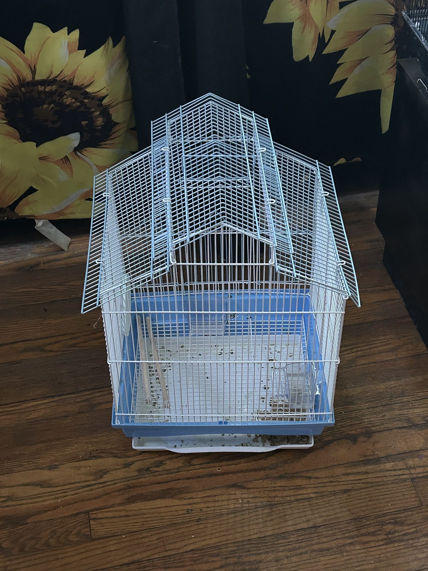 Bird Cage