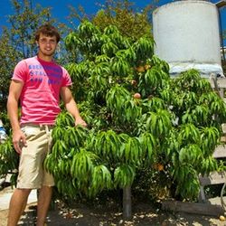 Plants And Fruit Trees