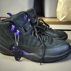Jordan Concord 12s Size 11.5