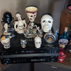 SKULL COLLECTION 