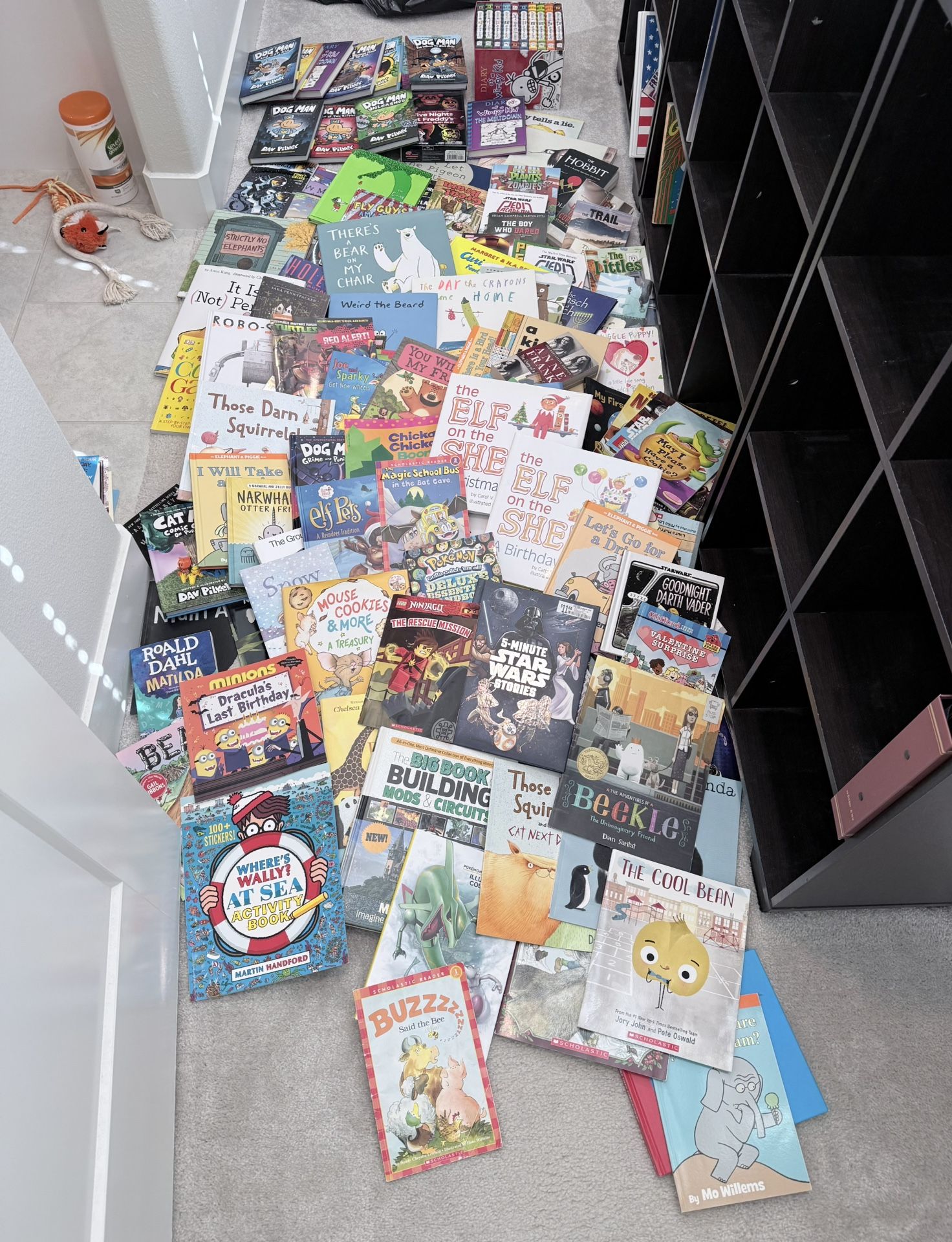 Massive Book Collection + Bookshelf – Only $350! 