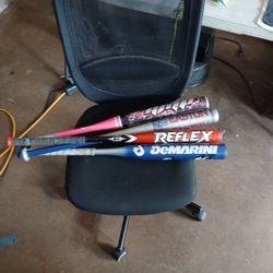 Baseball Bat