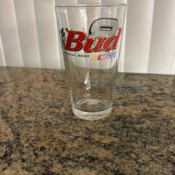 Dale Earnhardt Junior