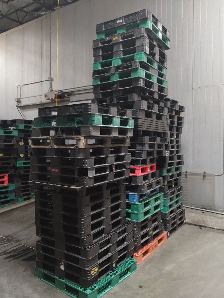 Free Plastic Pallets But I Only Need You To Take 10 Or More Because I Want To Release Fast Here Please Only Serious People