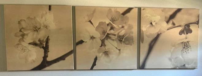 Canvas Wall Art