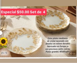 Especial $50.00 Set De 4 Plato’s Medianos para Pastel Postres Ensaladas Linea Widflower Princess House Ventas Finales