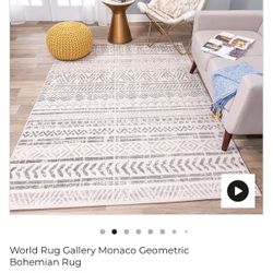 Brand New 8x10 Rug