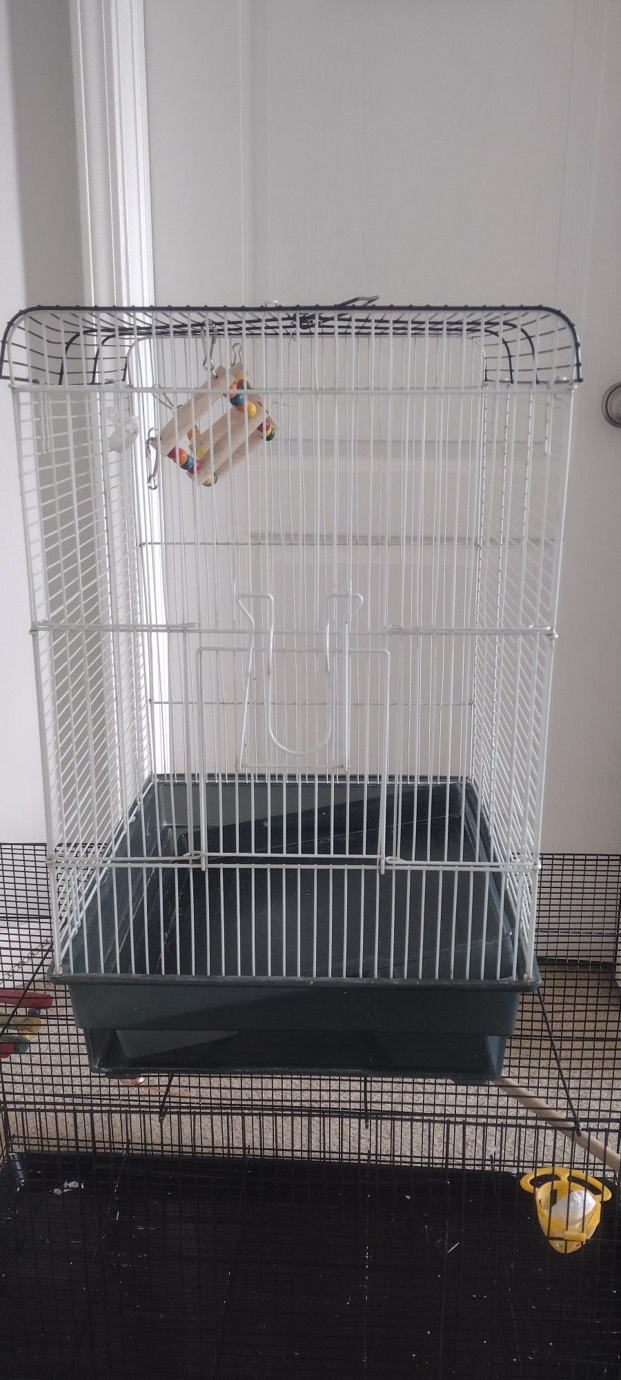 Bird Cages