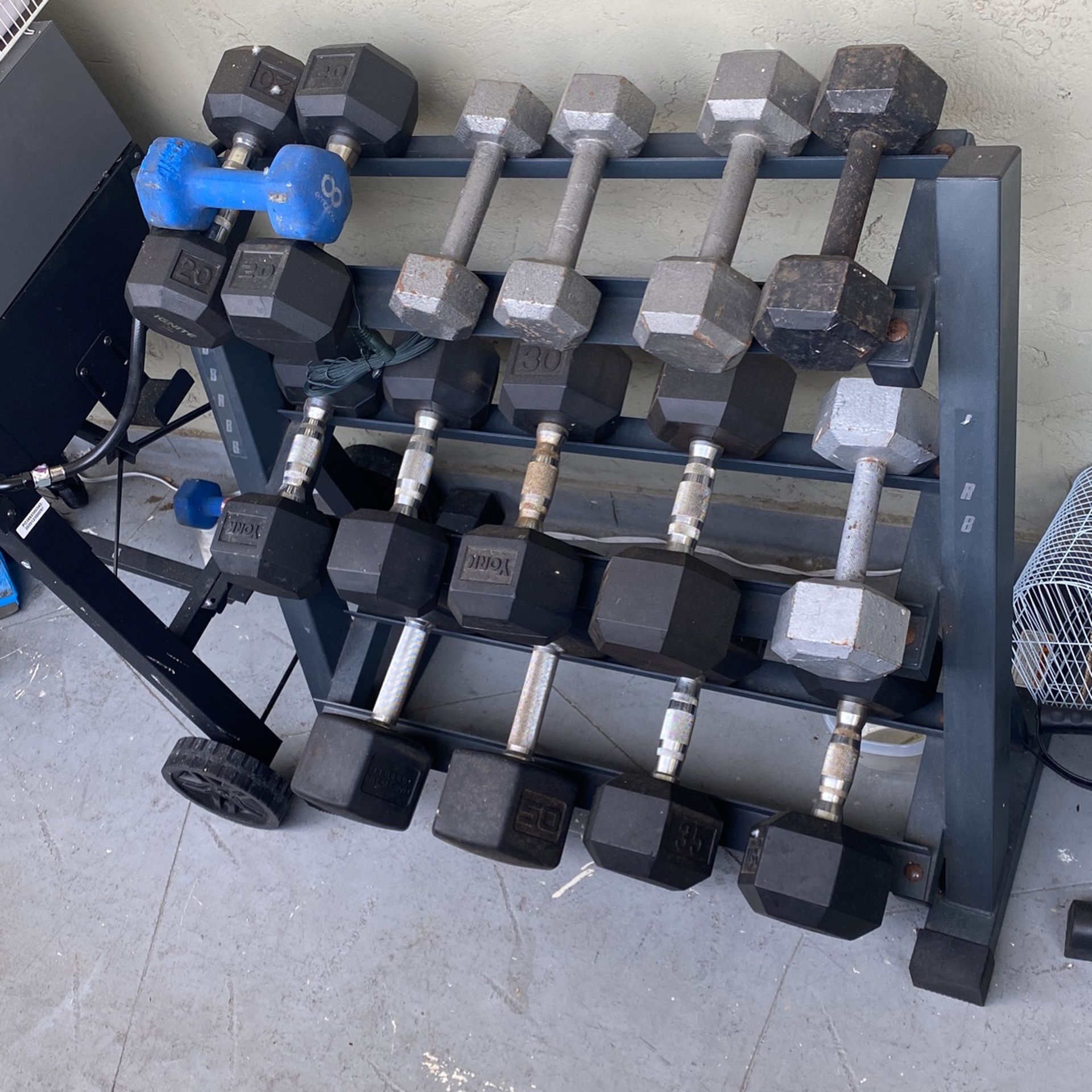 Dumbbells With Rack