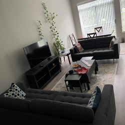 Moving Out Sale