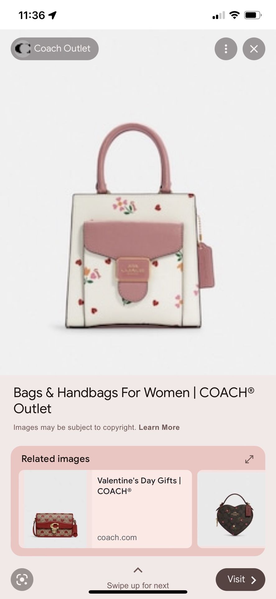 Coach Valentines collection 2022