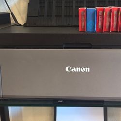 Pixma Pro 100 With Extra Inks