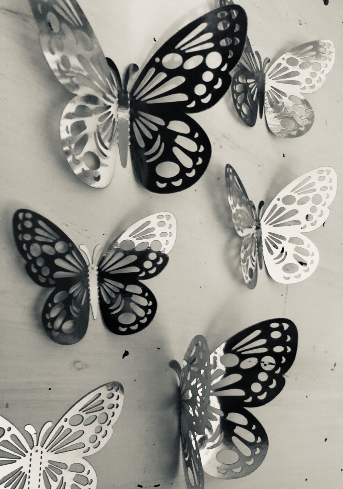 6 3D Wall Butterflies