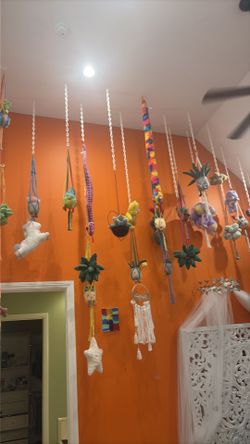 Hanging plant holders