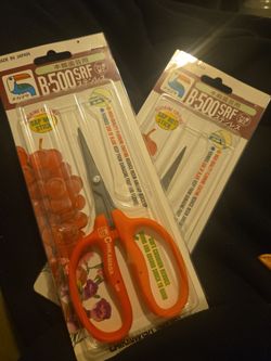 Pair of Chikamasa curved blade scissors