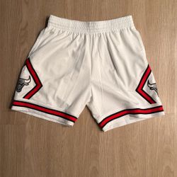 Size Large - Mitchell And Ness Chicago Bulls NBA Basketball Mesh Jersey Shorts Cement Gray Nike Sports