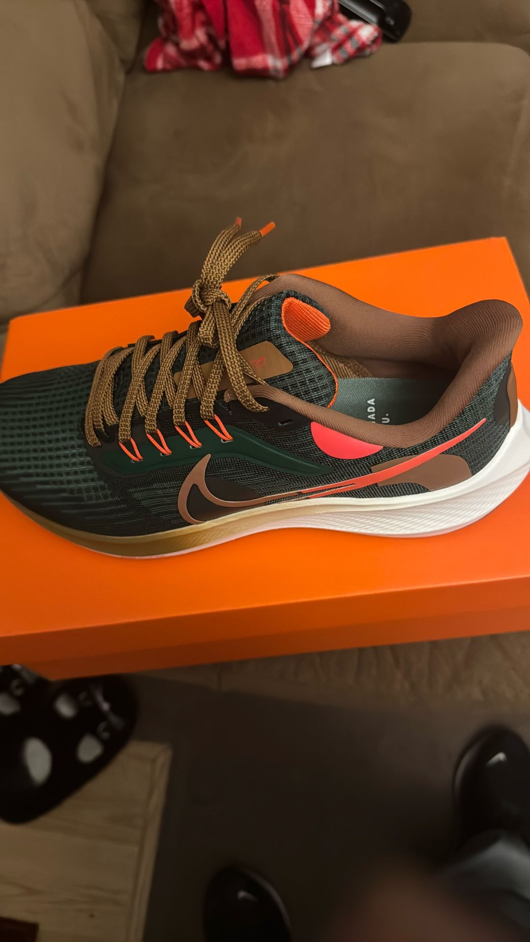 Men’s Size 9 Nike Pegasus 39 Air Hola Lou