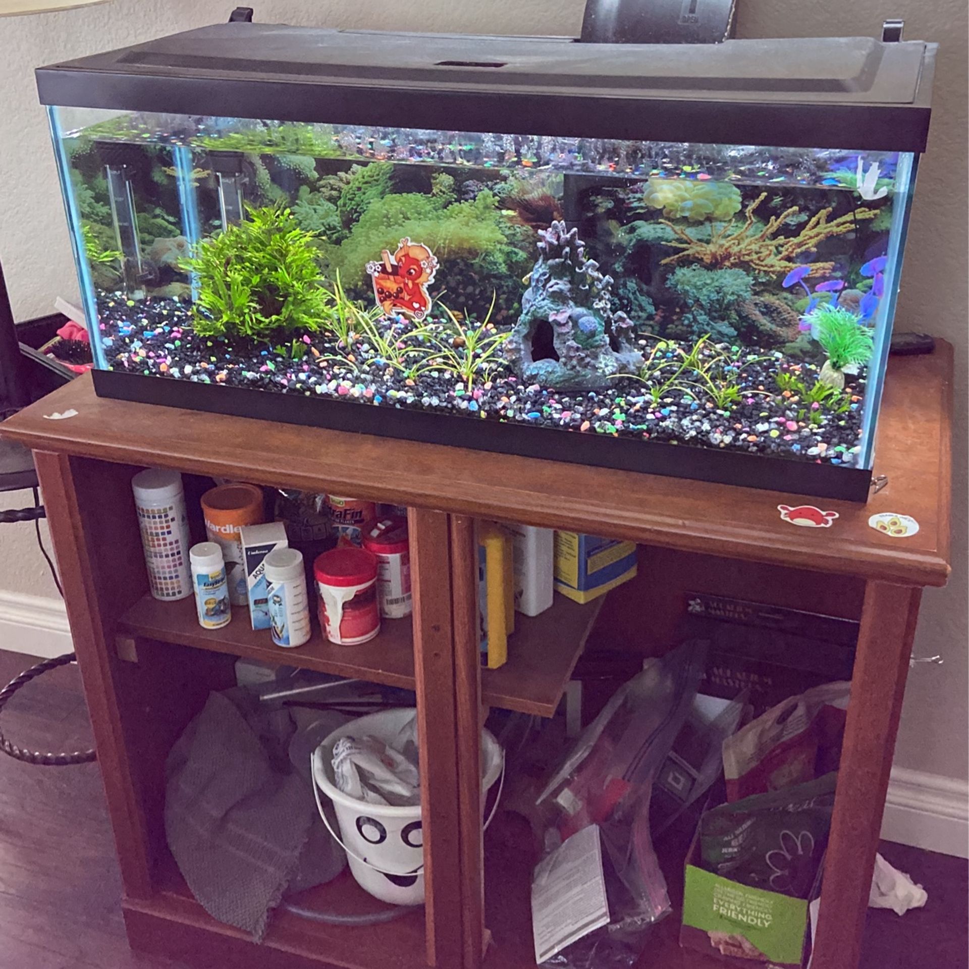 20 Gallon Long Fish Tank/aquarium for Sale in San Diego, CA - OfferUp