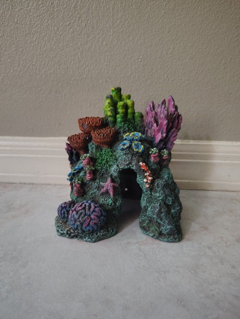 Fake Coral Cave