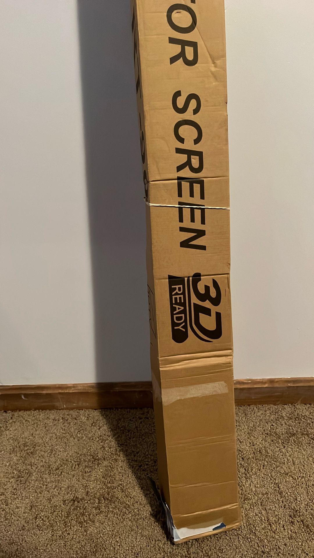 Projector Screen RT-90