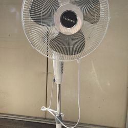 Fan