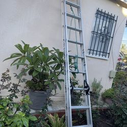 Excellent Condition Wide Variety Of Ladders
