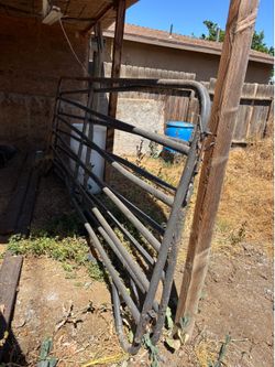 4 12 foot corral panels