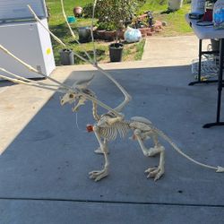  Esqueleto De Dragón 