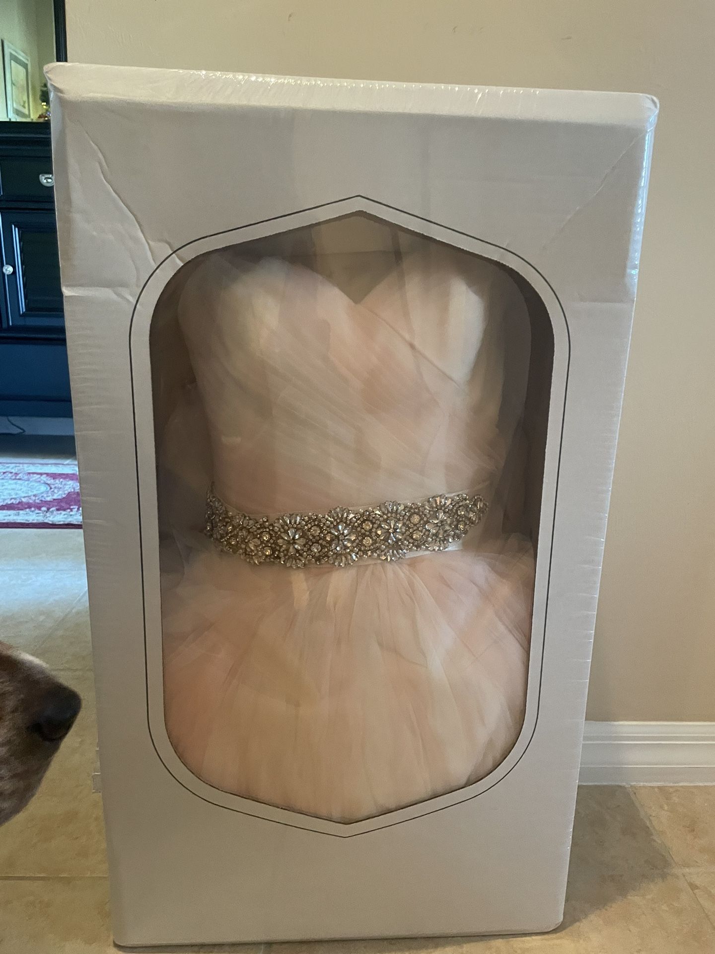 Vera Want Blush Wedding Dress