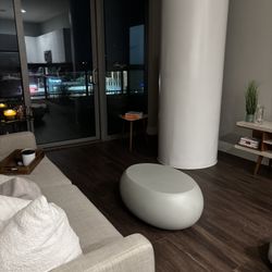 West Elm Pebble Oval Coffee Table (36”)