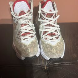Nike LeBron 