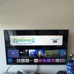 LG 43 inch Tv