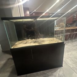 90 Gallon Fish Tank Aquarium/Stand Combo 