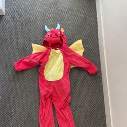 Kids Dragon Costume