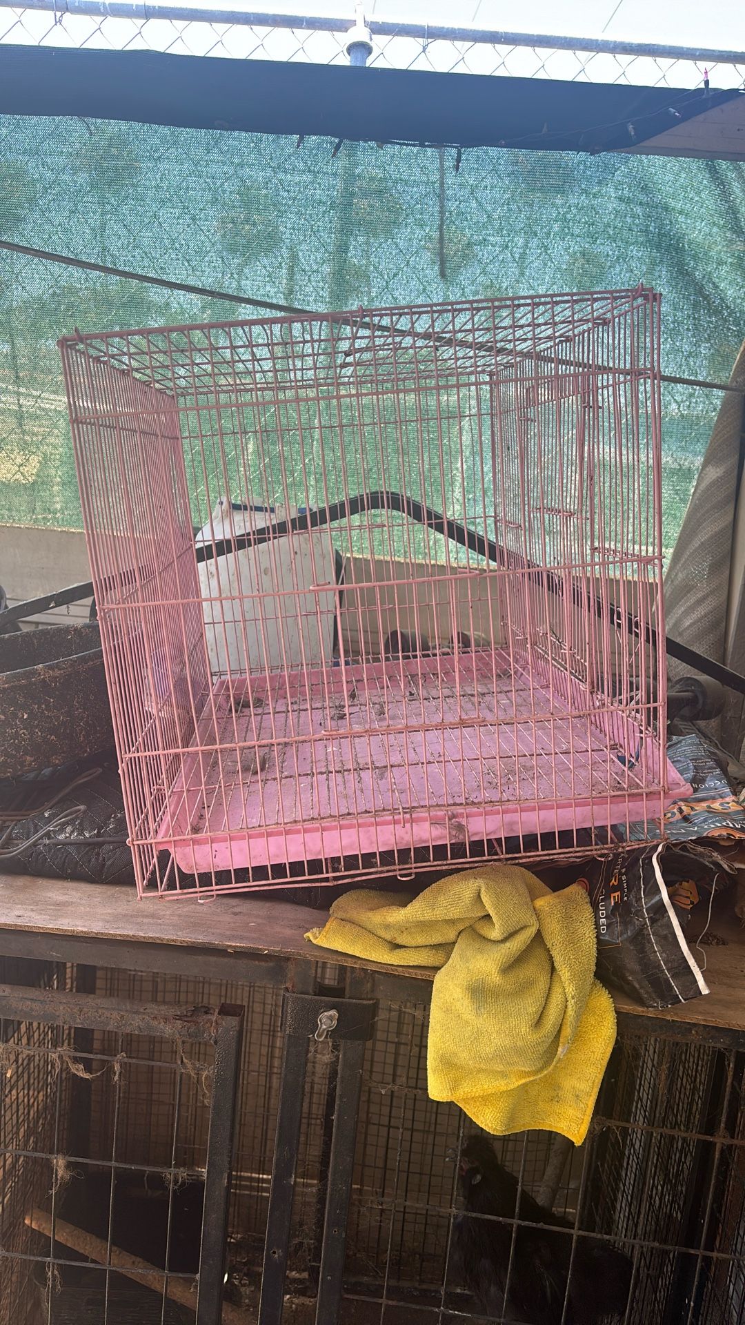 Pink Bird Cage 