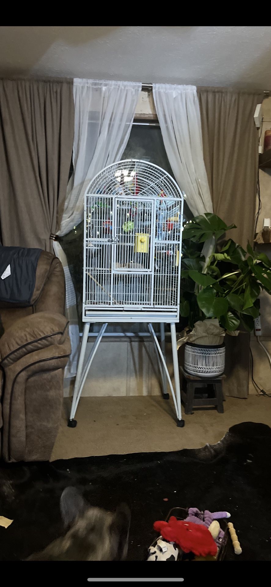 Large Bird Cage