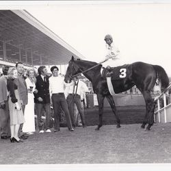 Photograph Of a Racinghorse W/ Jockey
