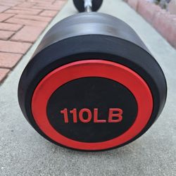 Fixed Barbell 110 LBS Exercise Equipment Weight Gym  Not Dumbbell