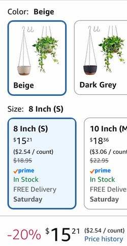 8 inch pothos plant with self water planter