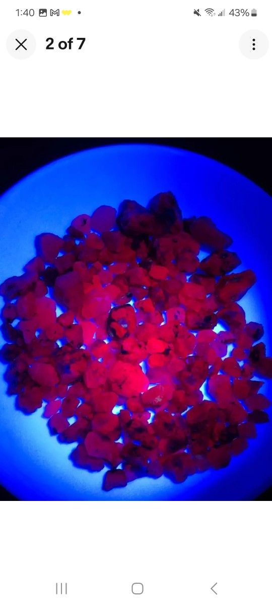 50ctw Of Natural Burmese Ruby Rough Gemstones Lot
