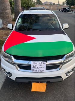 Palestinian hood cover