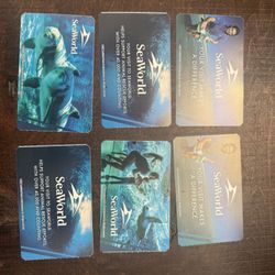 SeaWorld Day pass 