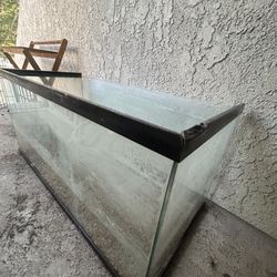 40 Gallon Tank