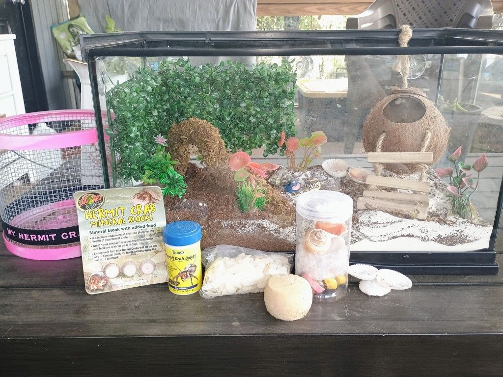 Hermit Crab 20 Gallon Tank And All Accessories In Picture