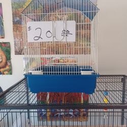 New BIRD CAGE $20