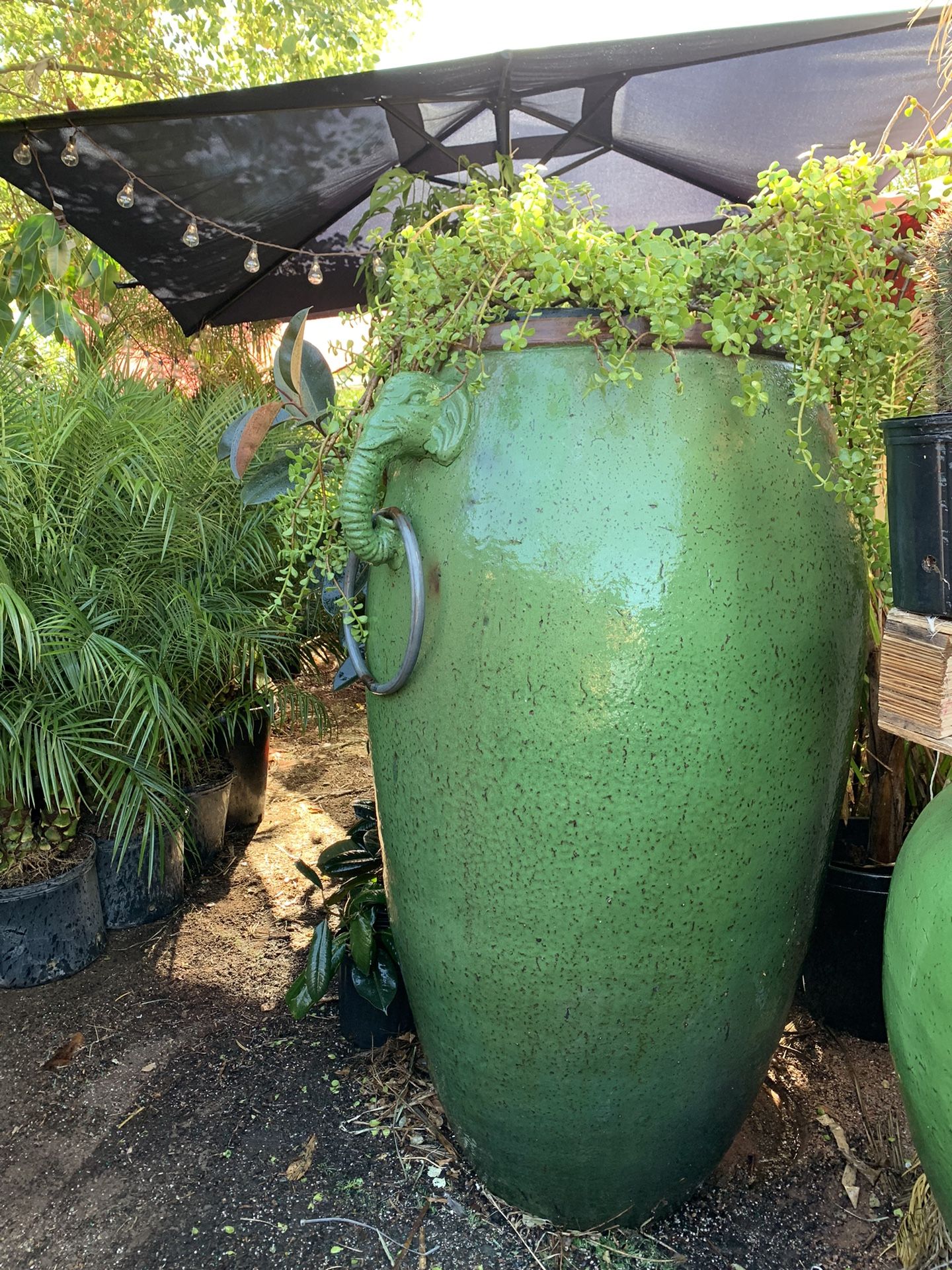 Huge!! XXL Ceramic Glazed Pot (Delivery Available)