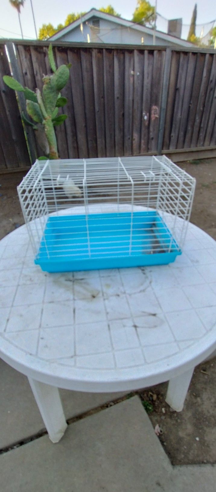 Small Cage