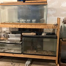 5 Fish Tanks And Stands
