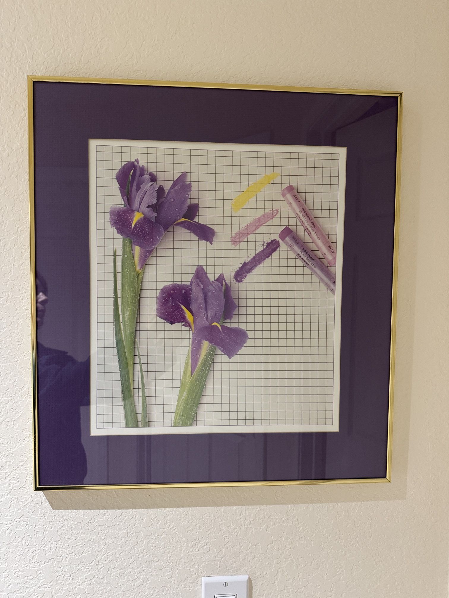 Spring Decor Framed Print - Peñasquitos